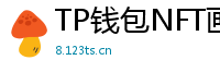 TP钱包NFT画廊功能｜上传、交易数字藏品全流程